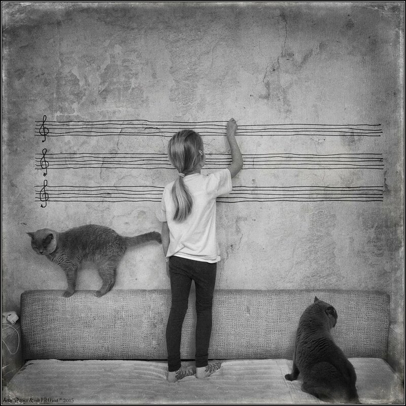 12088399-888756281190464-6099747581735155887-n