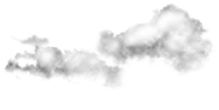 e81