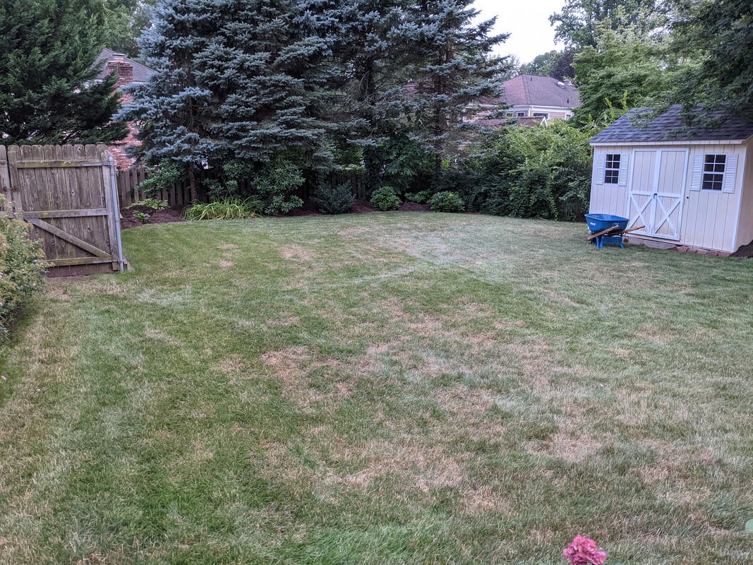 PXL_20210725_000833794