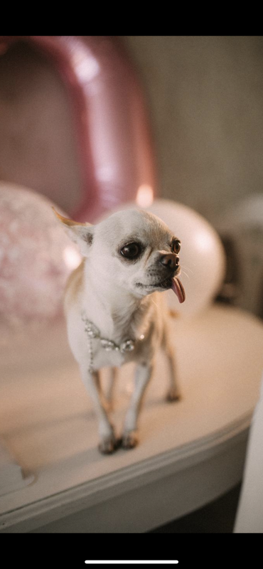 48823B4E-ABA2-443B-ABF6-6221A8CD0B16