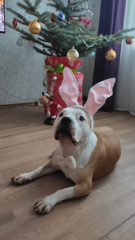 1A6F2E8F-4490-406C-84F1-F7BD39E85DE9