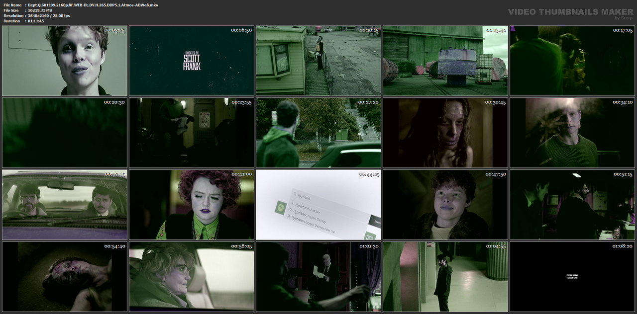 Dept.Q.S01E09.2160p.NF.WEB-DL.DV.H.265.DDP5.1.Atmos-ADWeb.mkv