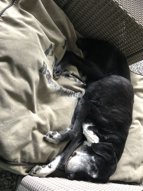 1064E0A8-8C7C-4F81-9A7D-EC73154C9918