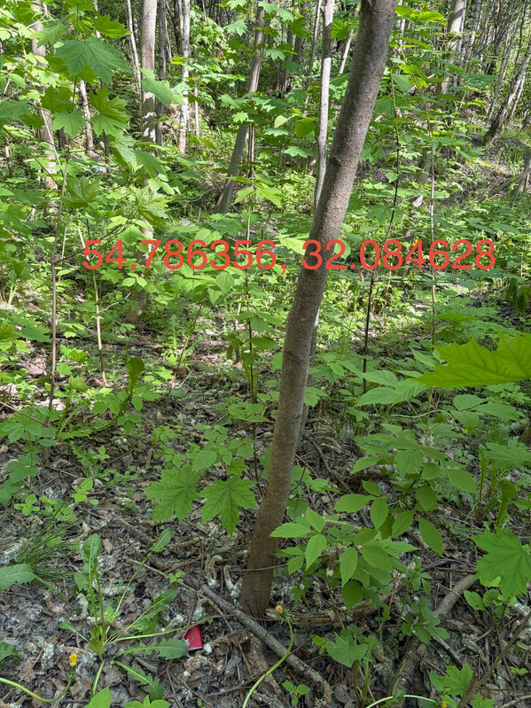 photo 7 2026 05 19 16 09 13