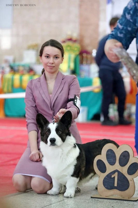 13CC5C44-DDD8-4530-904C-32706CC511FD