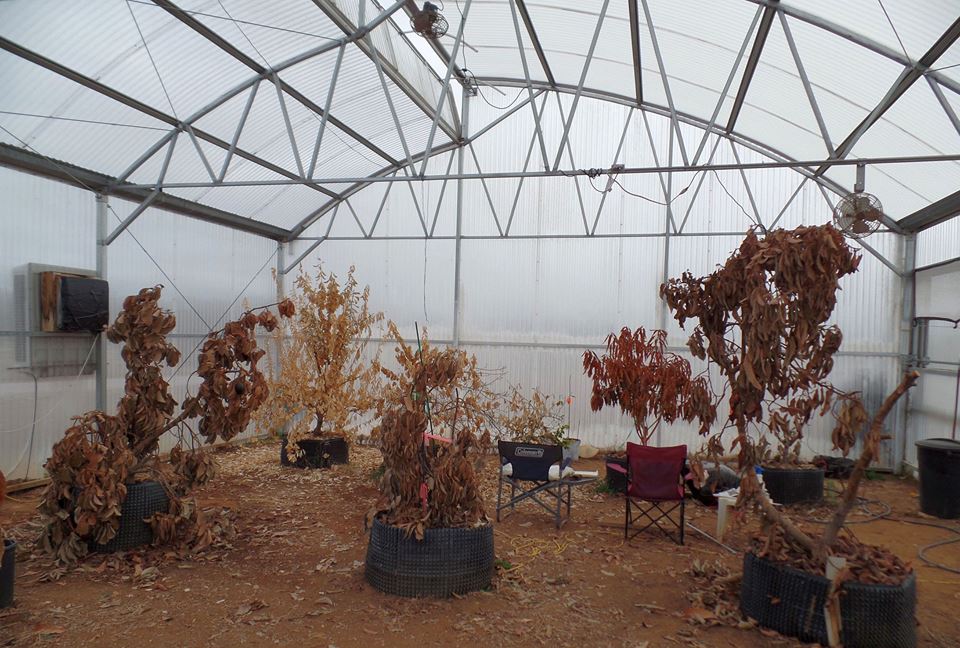 GreenhouseFeb15