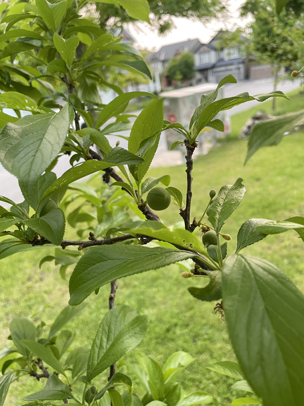 5069CB5D-2090-4FB8-B49E-22E39BC5D1CD