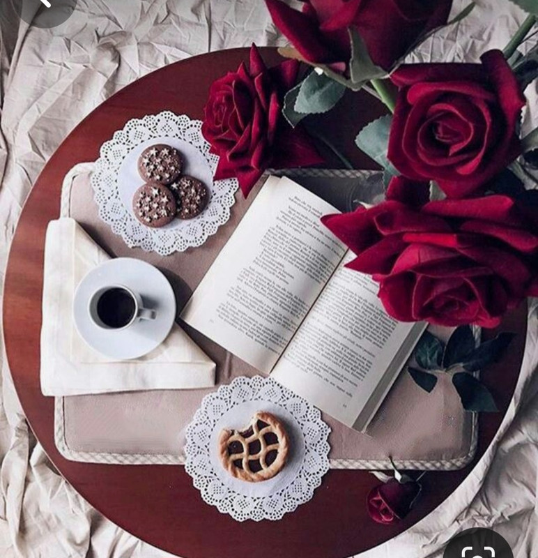 Screenshot_20240203_192730_Pinterest