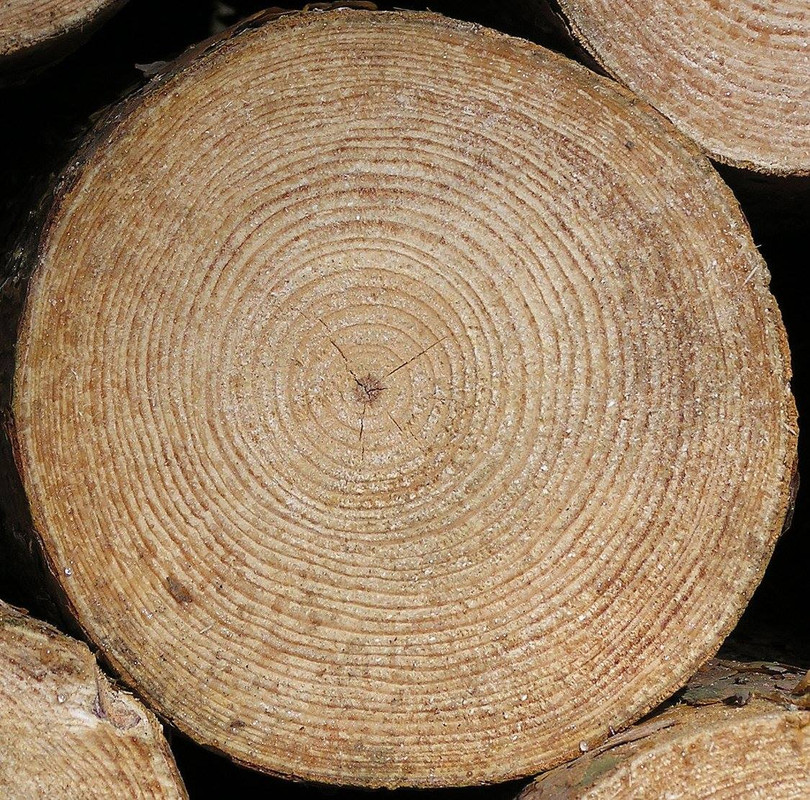 wood-texture-3dsmax-195