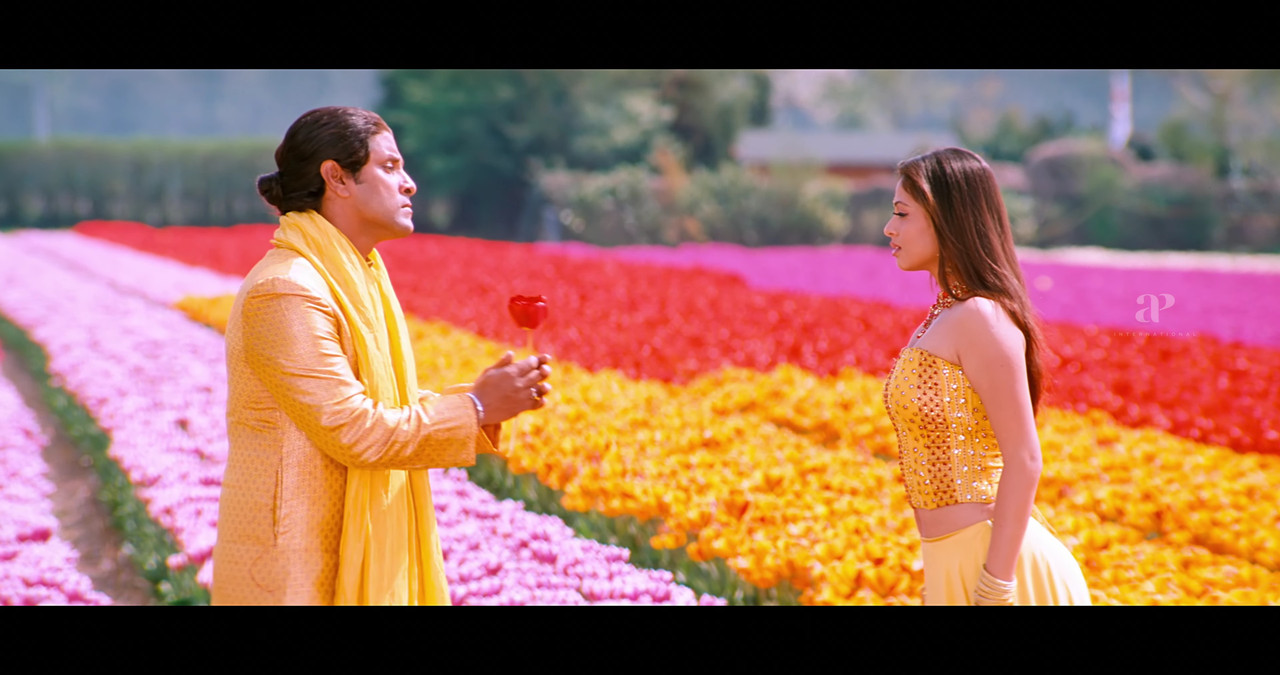 VideoCapture_20241122-200135