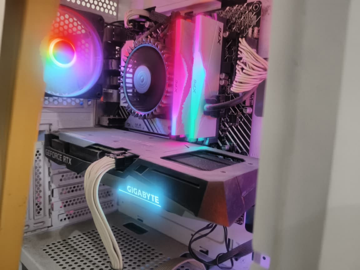 Whats App Image 2026 02 11 at 2 18 38 PM