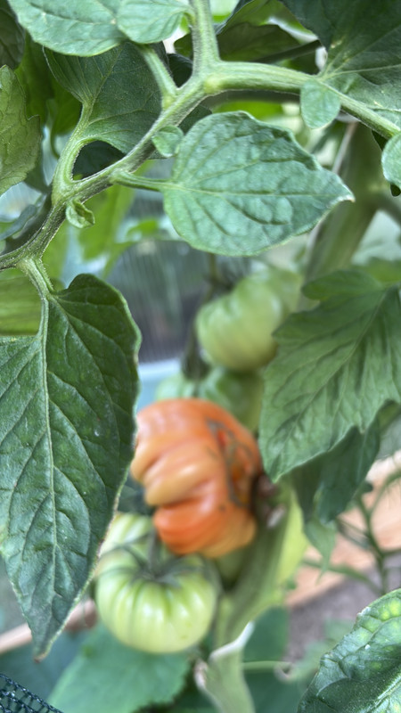 EF0E4DCA-F7BE-4506-934E-7BEEA89AD713