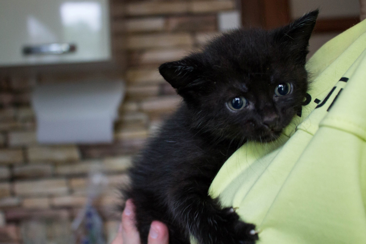 B51520B1-E3D3-4D87-8441-359BF87186D4