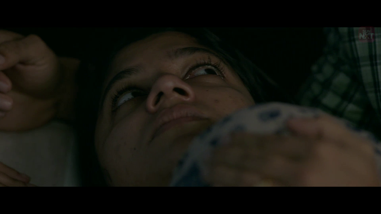 vlcsnap 2026 02 11 15h37m28s641