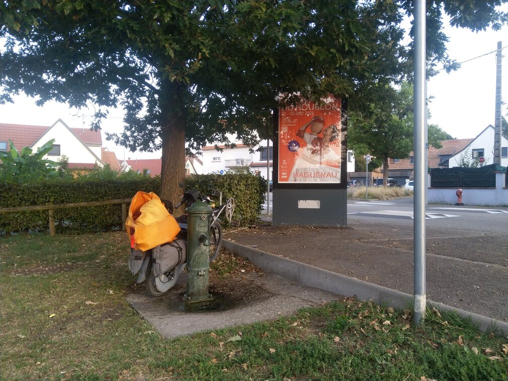 [Afbeelding: IMG-20240831-073207.jpg]