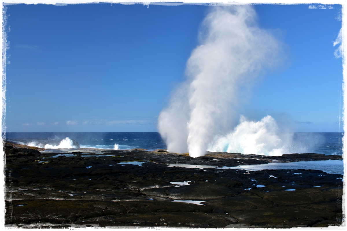 Talofa! Samoa, una perla en el Pacífico - Blogs de Samoa - Día 6. Savai’i: costa sur (5)