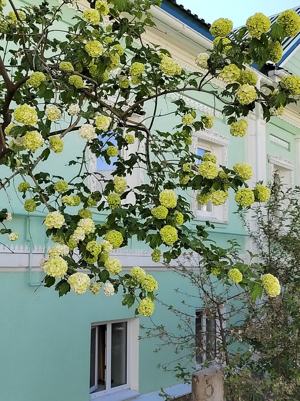 https://i.postimg.cc/Y0pYnHth/66-IMG-20240525-084346.jpg
