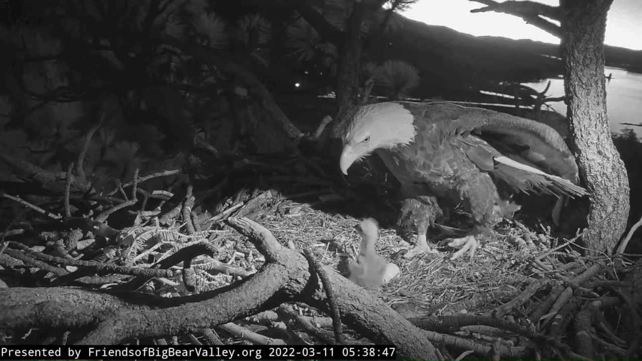 Webp.net-gifmaker (3)