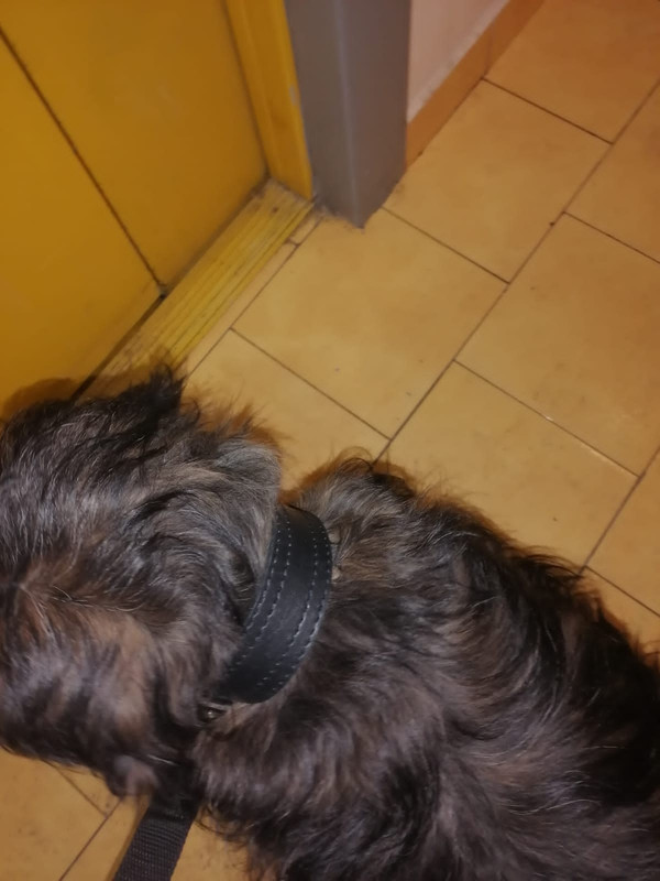 C2EBD7AA-AD1E-4C09-92AA-DB67DFAC5EE4