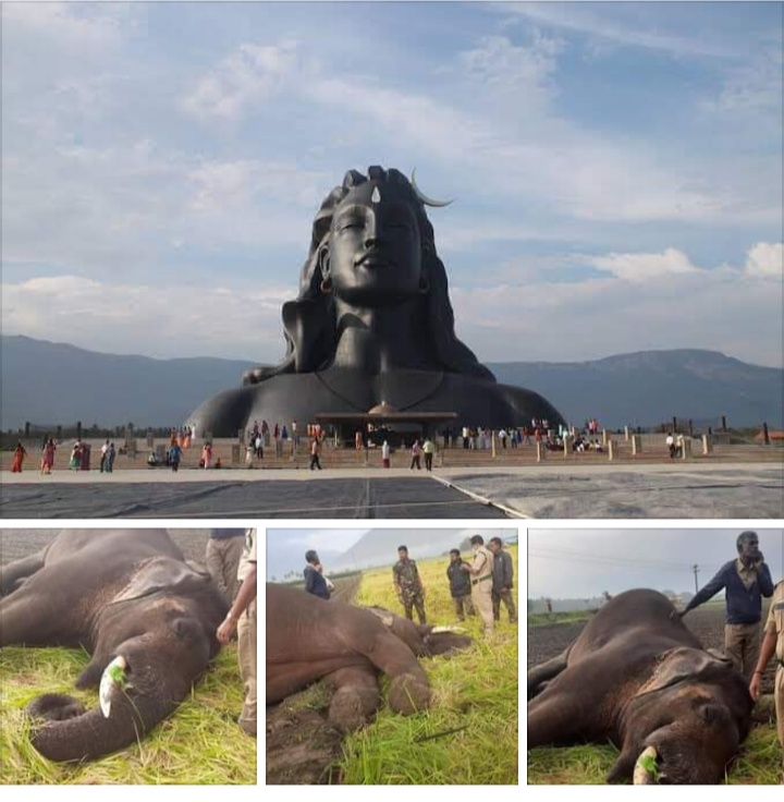 Screenshot-2021-01-06-10-26-03-899-com-a