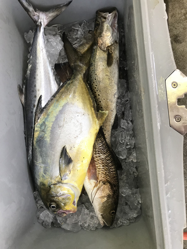 D26DFE7D-2F57-4CB0-8A3D-05DA2EAD68B9