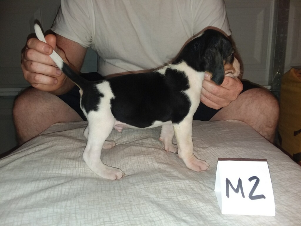 467F45F0-2865-44B9-81A1-0288263665B4