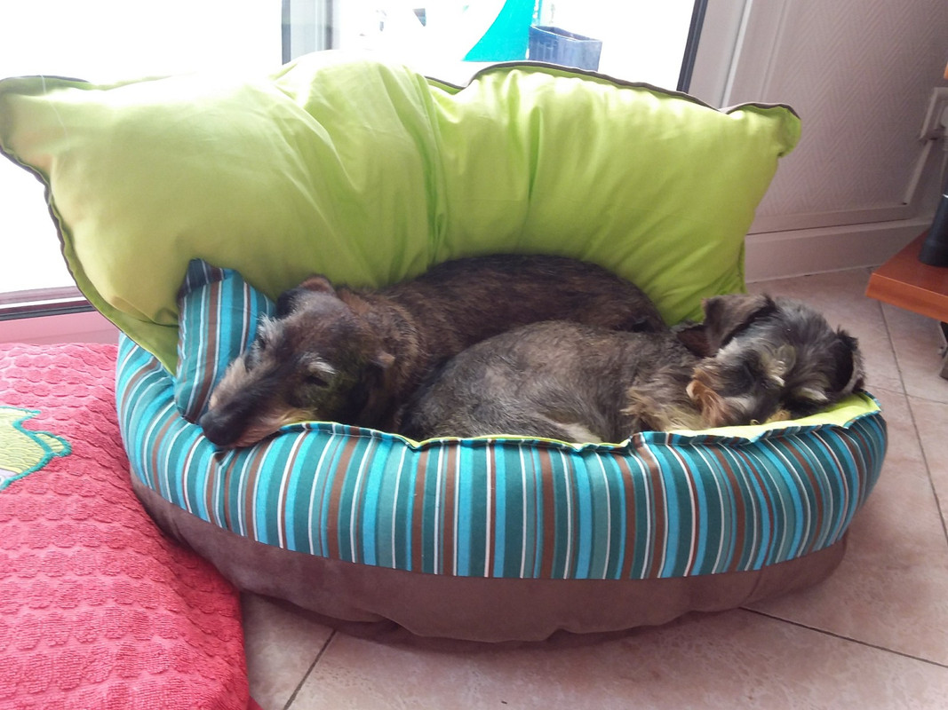 [Image: 20170901-152620-copy-1600x1200.jpg]