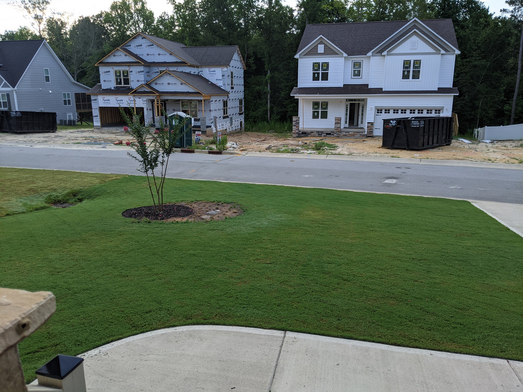 MVIMG_20200630_072652