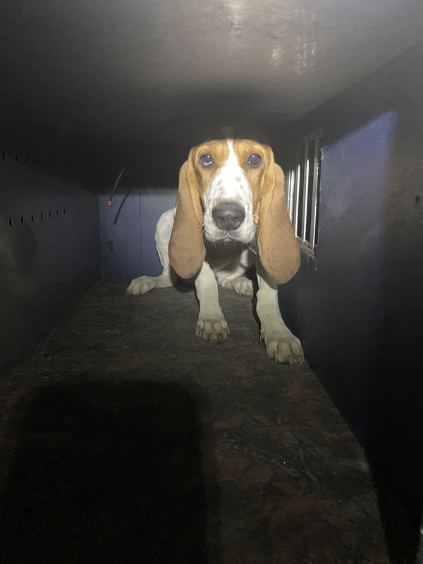 75758553-7678-409D-B8D9-EF63AECBF725