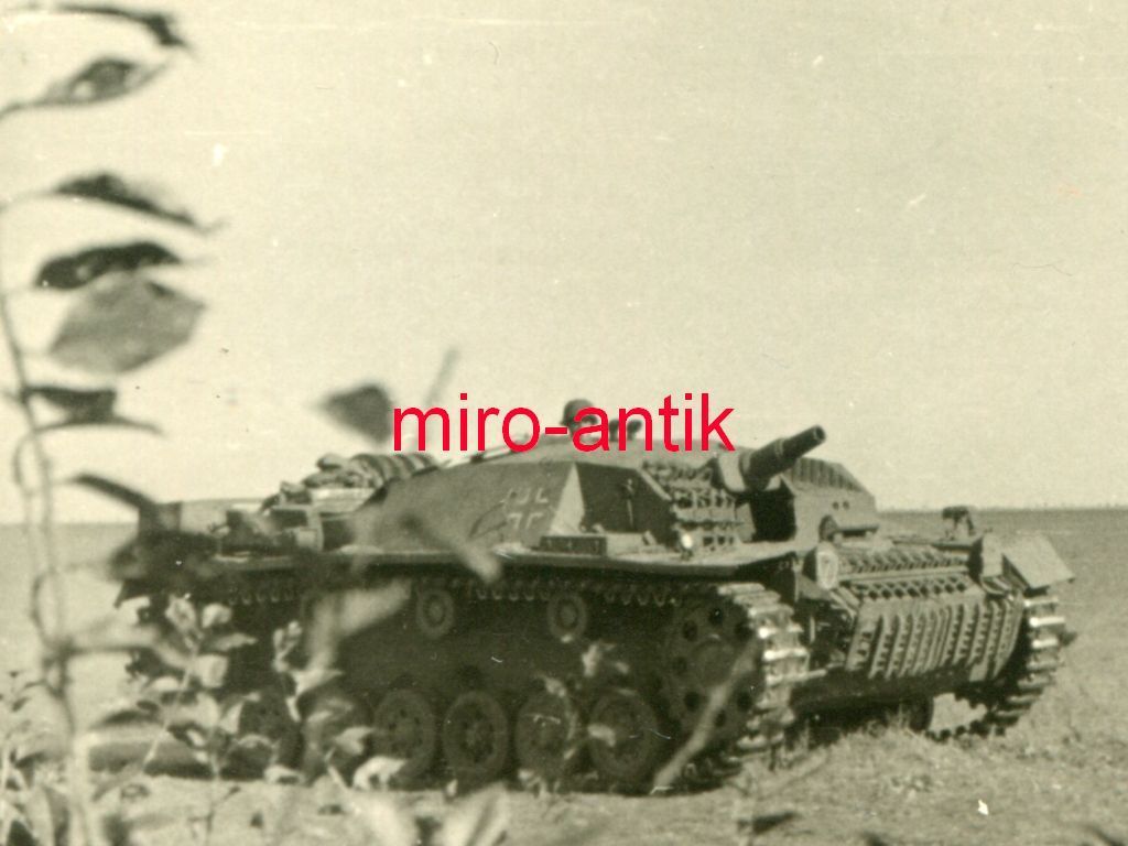 Foto, Panzer, Stug, Sturmgeschütz der LAH, Raum 