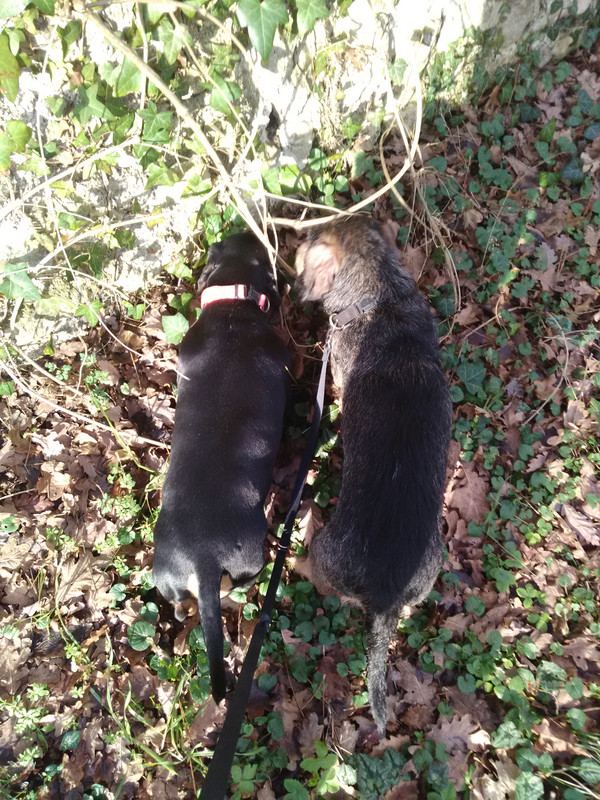 [Image: IMG-20230115-145553.jpg]