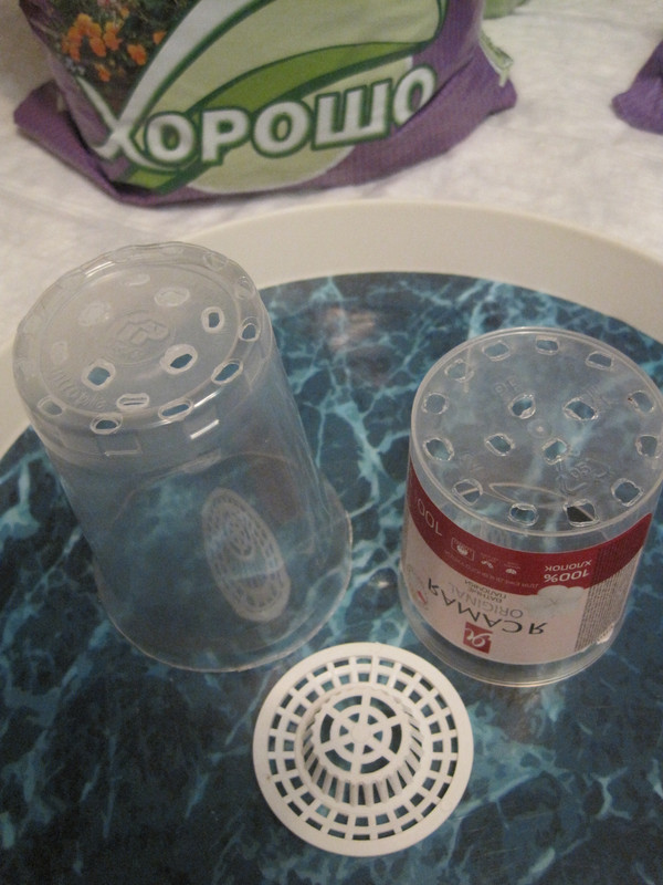 Выбор ёмкости для посадки черенка