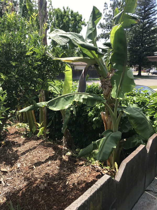 4AB6D0C2-CB0C-4F33-BF32-1DC892E8CAF7