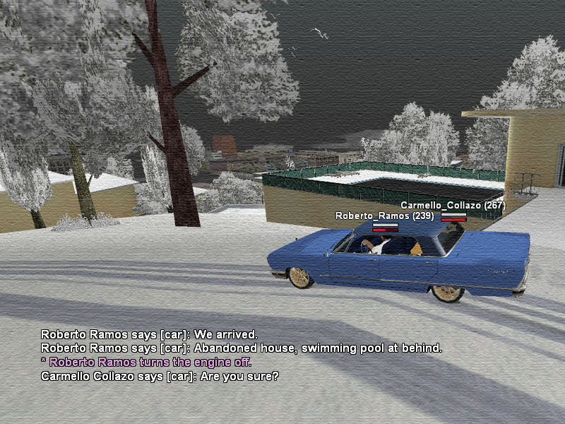SSRoleplay244.png