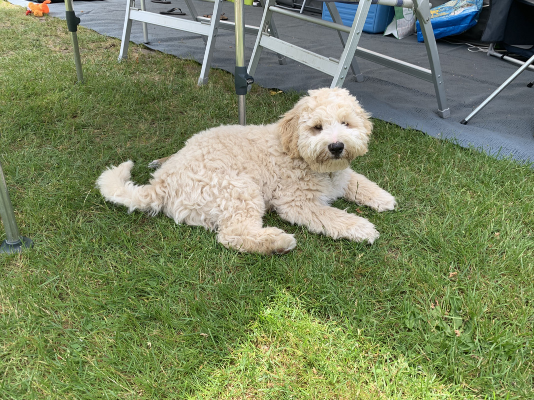 8BBAFDF6-17B0-4817-B921-E94F797D3975