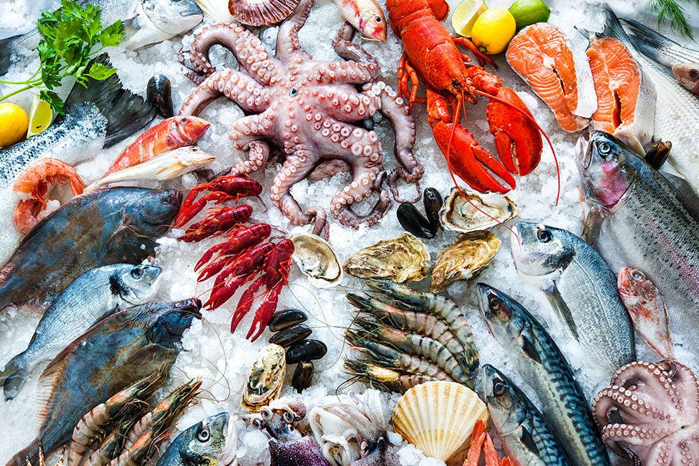 Premium seafood assortment on ice