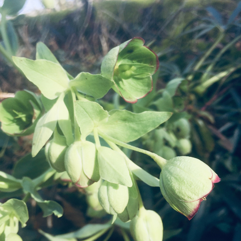 50482FC4-2A11-49AB-8FA0-AAB8186D155C