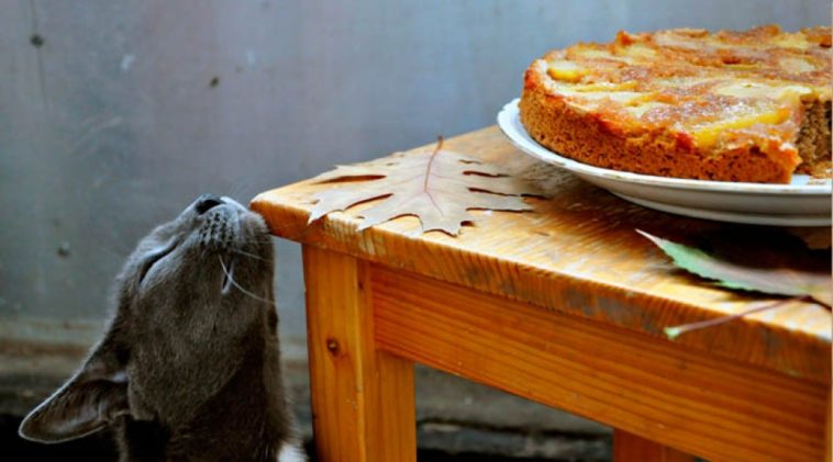 Почему осень гораздо лучше лета