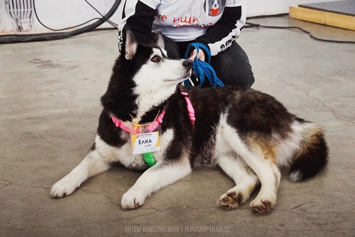 FFB098B4-C55C-4564-916B-41703DF2D5DE