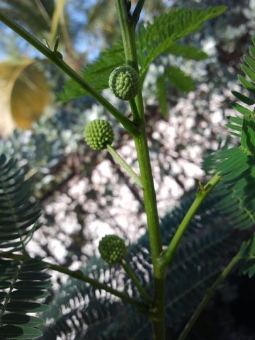2014-04-29 16.14.26