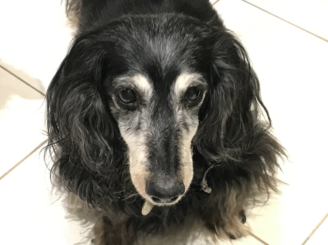 [Image: 4-EBBCD96-0-CF6-4614-8716-DCDD36-AE7-B66.jpg]