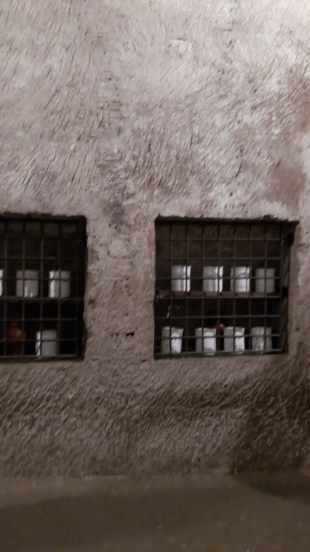 WhatsApp Image 2023-10-12 at 21.11.55 (2)