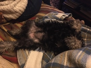 66C6D49C-B791-46C7-95D0-877315334A8D