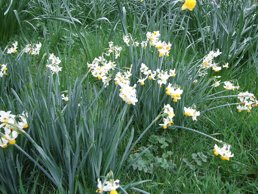 DSCF9266small