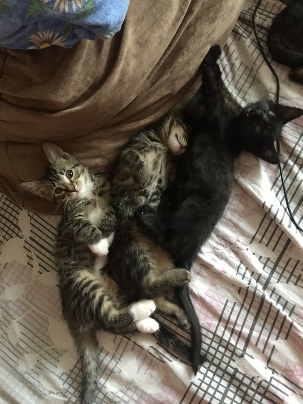 CC938D80-2A8A-43C9-B27A-026248FA22A3