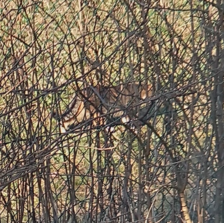 IMG 20260323 080056800 HDR 2