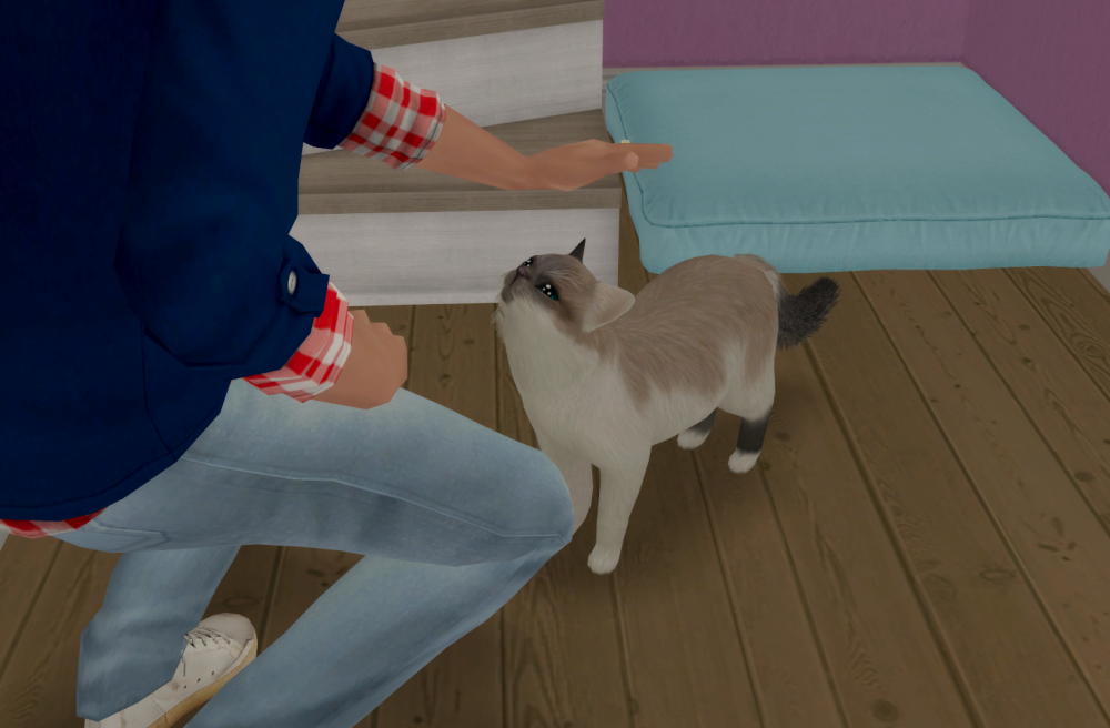 Sims2-EP9-RPC-2021-06-25-22-07-30-64