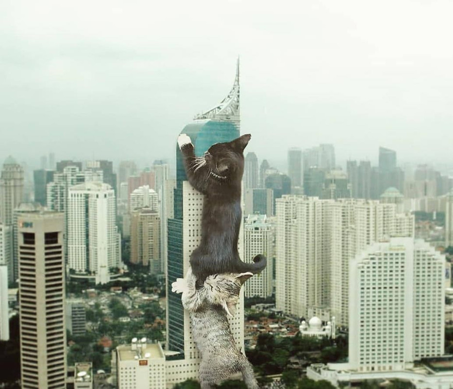 кот7ааа