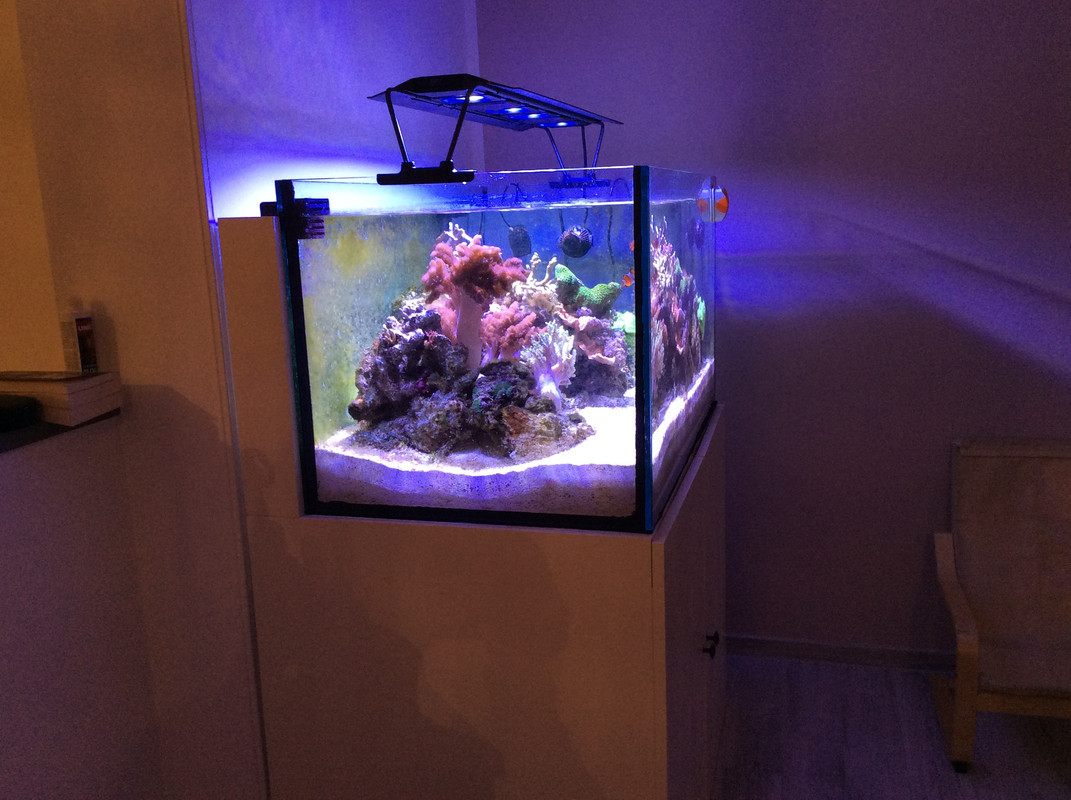 3FA10FBE-6EC0-40B9-9F20-3034E3334478