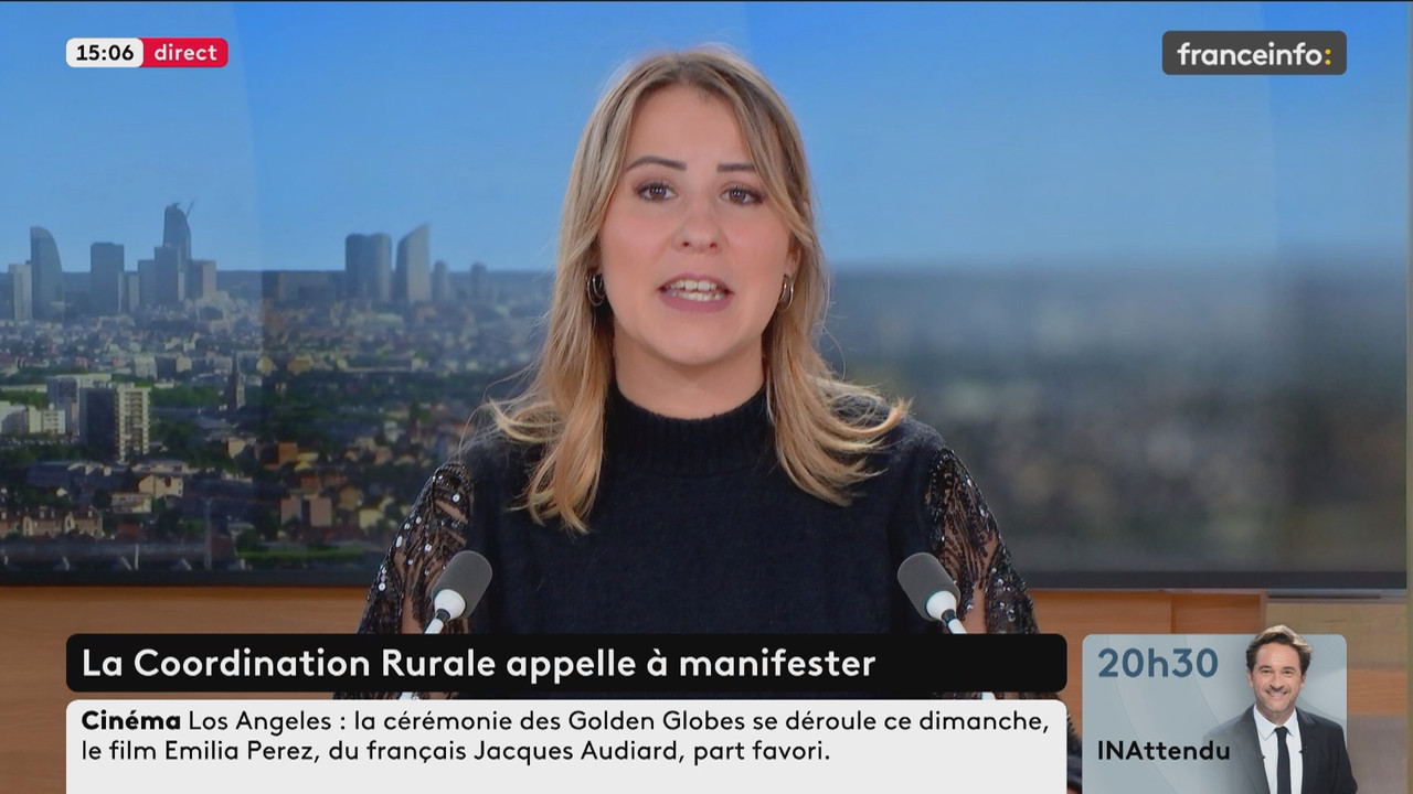 Le fil info (Franceinfo)_2025_01_05_13_20_51.ts_snapshot_00.47.27.424